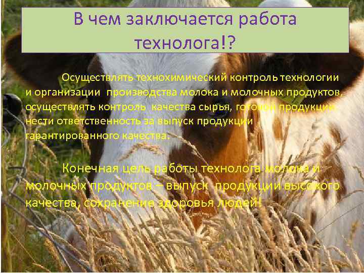 В чем заключается работа технолога!? Осуществлять технохимический контроль технологии и организации производства молока и