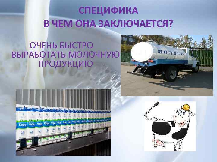 СПЕЦИФИКА В ЧЕМ ОНА ЗАКЛЮЧАЕТСЯ? ОЧЕНЬ БЫСТРО ВЫРАБОТАТЬ МОЛОЧНУЮ ПРОДУКЦИЮ 