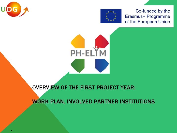OVERVIEW OF THE FIRST PROJECT YEAR: WORK PLAN, INVOLVED PARTNER INSTITUTIONS . 