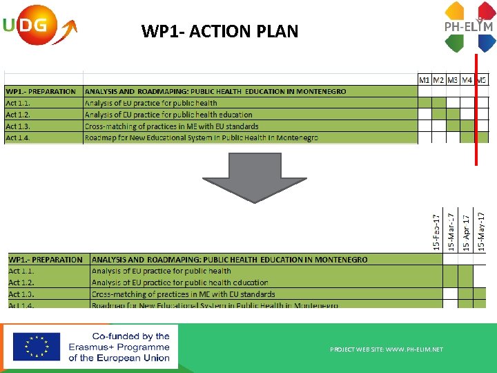 WP 1 - ACTION PLAN PROJECT WEB SITE: WWW. PH-ELIM. NET 