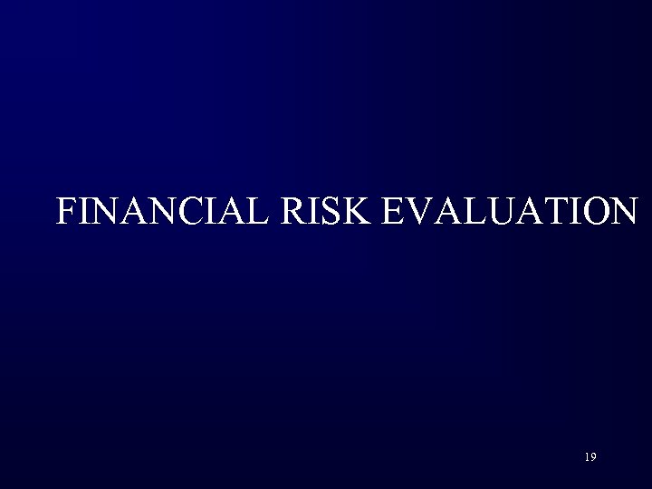 FINANCIAL RISK EVALUATION 19 