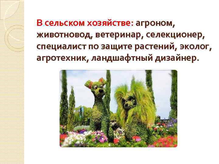 В сельском хозяйстве: агроном, животновод, ветеринар, селекционер, специалист по защите растений, эколог, агротехник, ландшафтный