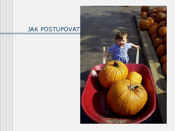 JAK POSTUPOVAT? 