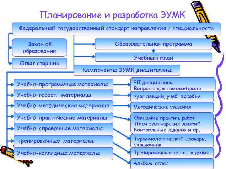 Виды направлений специальностей