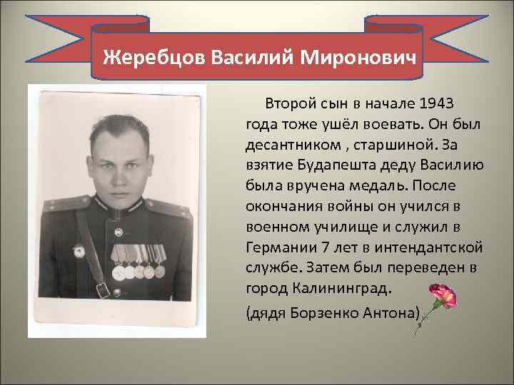 Жеребцов Василий Миронович Второй сын в начале 1943 года тоже ушёл воевать. Он был