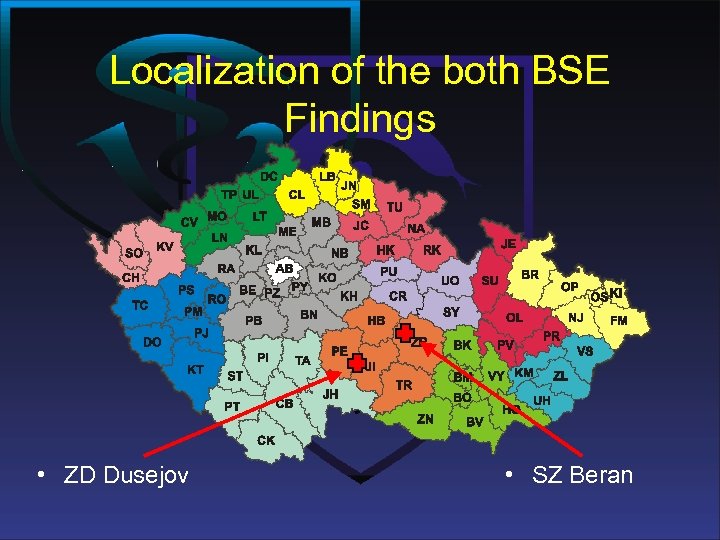 Localization of the both BSE Findings • ZD Dusejov • SZ Beran 