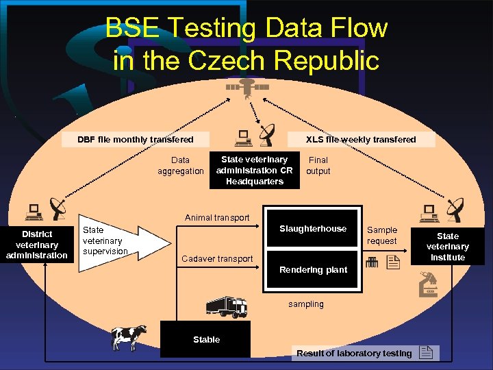 BSE Testing Data Flow in the Czech Republic DBF file monthly transfered Data aggregation