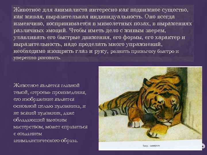 Животное для анималиста интересно как подвижное существо, как живая, выразительная индивидуальность. Оно всегда изменчиво,