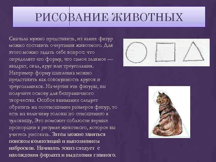РИСОВАНИЕ ЖИВОТНЫХ Сначала нужно представить, из каких фигур можно составить очертания животного. Для этого