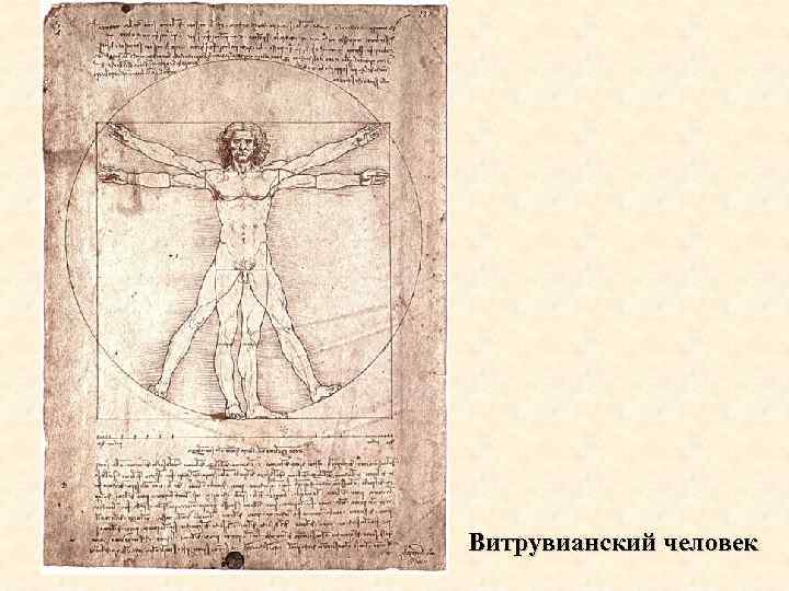 Витрувианский человек 