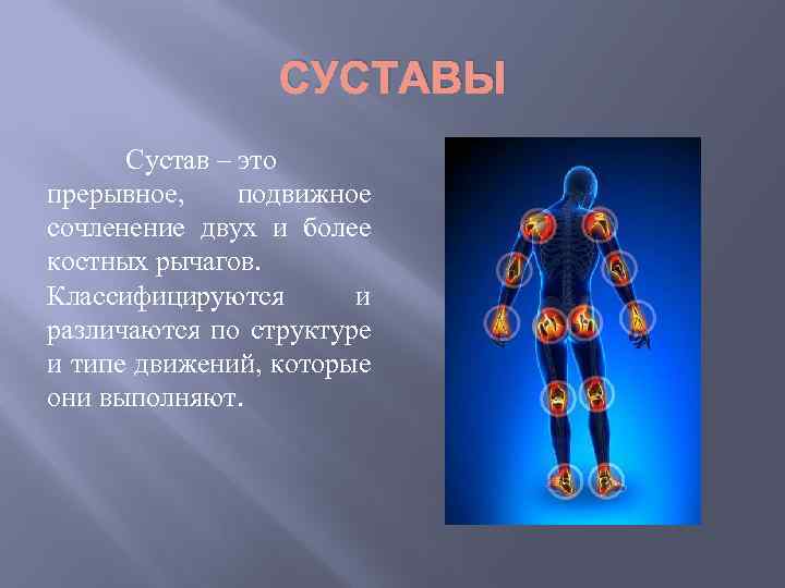 СУСТАВЫ Сустав – это прерывное, подвижное сочленение двух и более костных рычагов. Классифицируются и