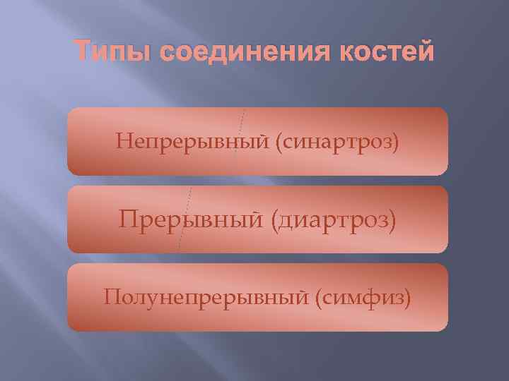 Типы соединения костей Непрерывный (синартроз) Прерывный (диартроз) Полунепрерывный (симфиз) 