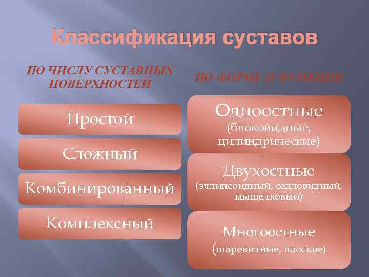 Классификация суставов ПО ЧИСЛУ СУСТАВНЫХ ПОВЕРХНОСТЕЙ Простой Сложный Комбинированный Комплексный ПО ФОРМЕ И ФУНКЦИИ