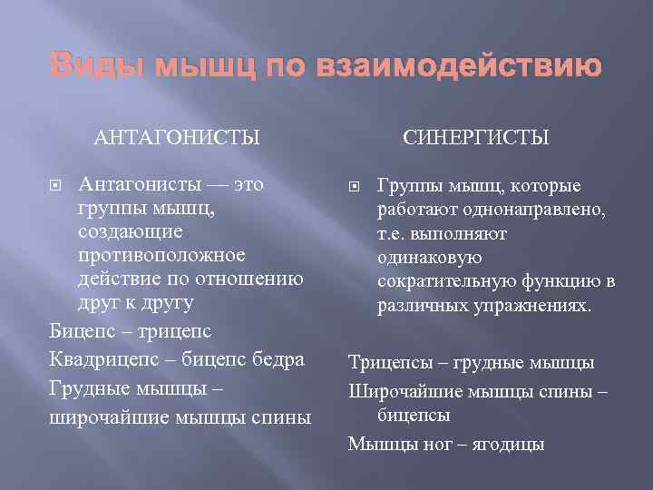 Виды мышц по взаимодействию АНТАГОНИСТЫ Антагонисты — это группы мышц, создающие противоположное действие по