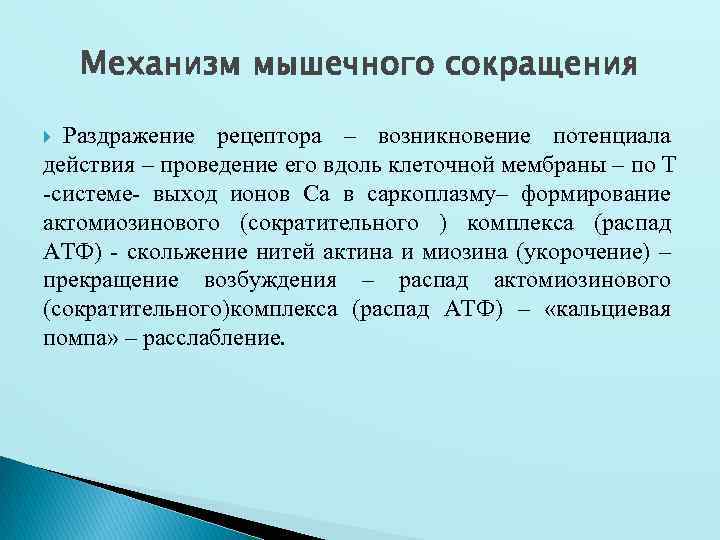 Механизм мышечного сокращения Раздражение рецептора – возникновение потенциала действия – проведение его вдоль клеточной