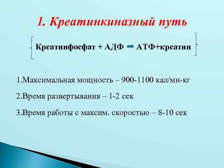 1. Креатинкиназный путь Креатинфосфат + АДФ АТФ+креатин 1. Максимальная мощность – 900 -1100 кал/мн-кг
