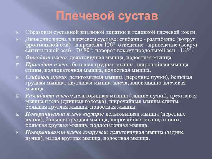 Плечевой сустав Образован суставной впадиной лопатки и головкой плечевой кости. Движение плеча в плечевом