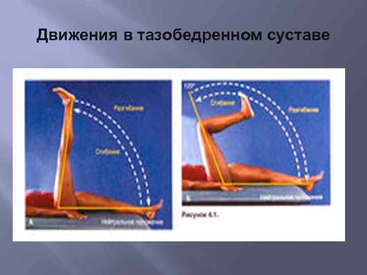 Движения в тазобедренном суставе 