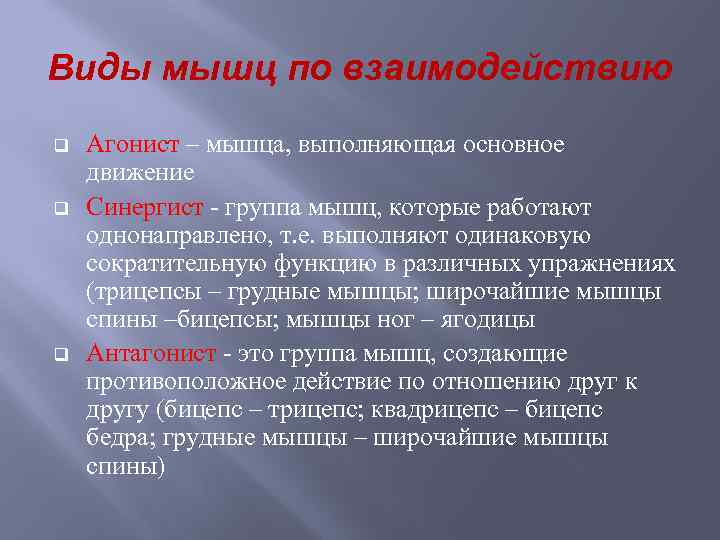 Виды мышц по взаимодействию q q q Агонист – мышца, выполняющая основное движение Синергист