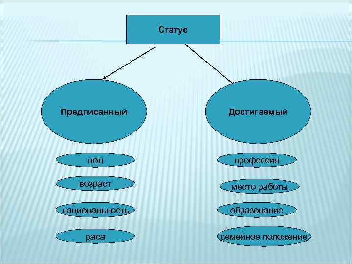 Статус Предписанный Достигаемый пол профессия возраст национальность раса место работы образование семейное положение 