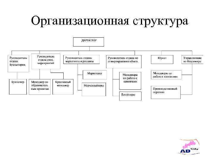 Организационная структура 