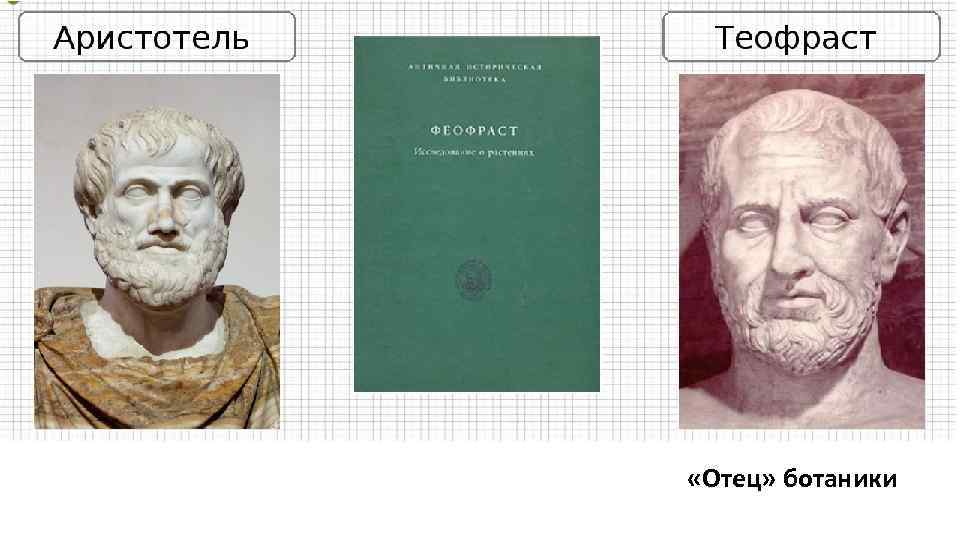  «Отец» ботаники 