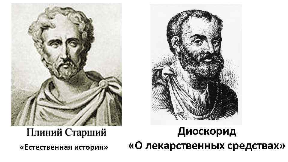 Труд естественная история. Гай Плиний старший естественная история. Аристотель Теофраст Гай Плиний старший. Римский Плиний старший. История Плиния старшего.