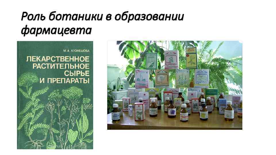 Роль ботаники в образовании фармацевта 