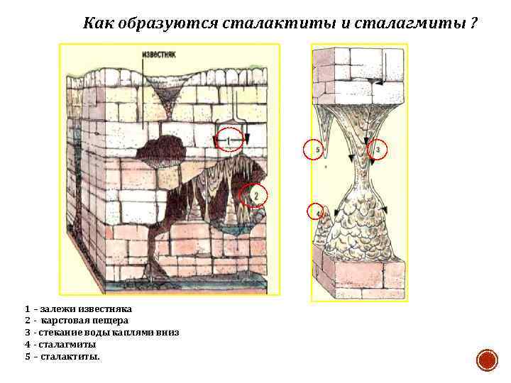 Как образуются сталактиты и сталагмиты ? 1 – залежи известняка 2 - карстовая пещера