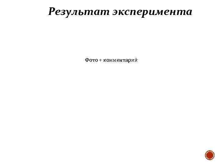 Результат эксперимента Фото + комментарий 