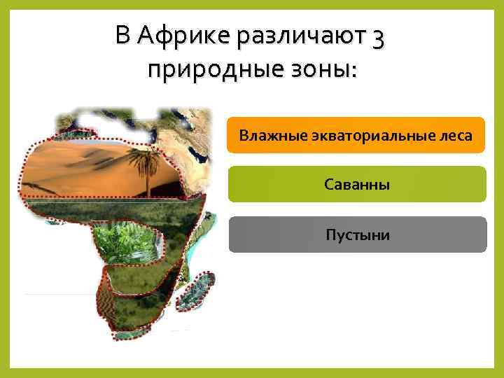 В Африке различают 3 природные зоны: Влажные экваториальные леса Саванны Пустыни 