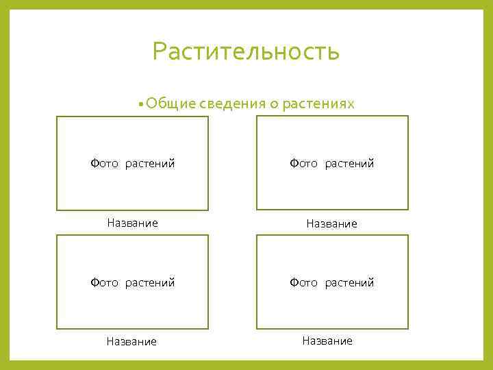 Растительность • Общие сведения о растениях Фото растений Название 