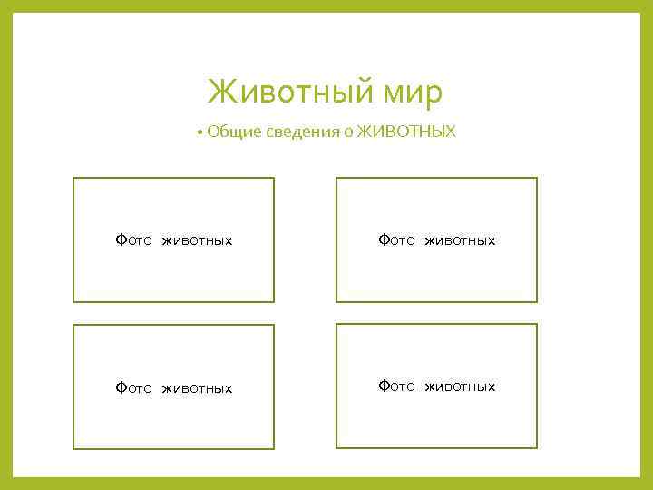 Животный мир • Общие сведения о ЖИВОТНЫХ Фото животных 