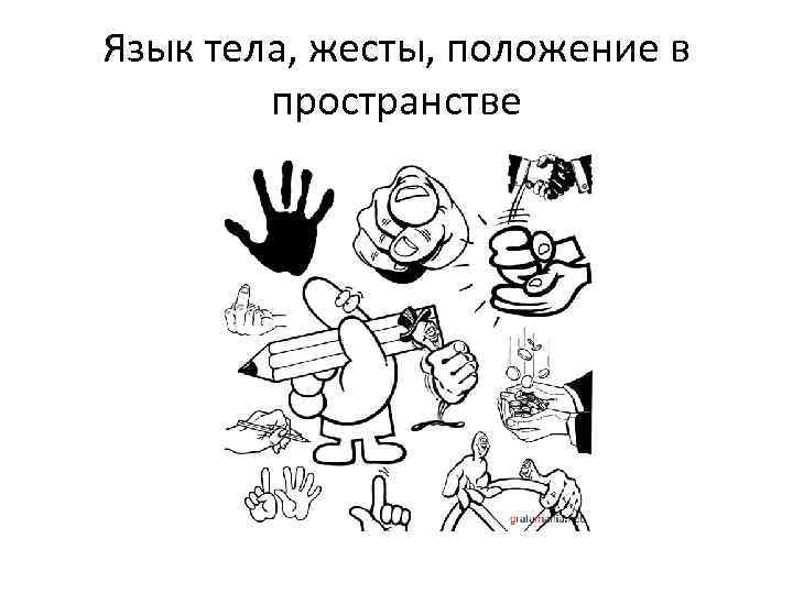 Язык тела, жесты, положение в пространстве 