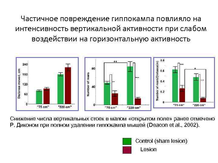 Частичное повреждение гиппокампа повлияло на интенсивность вертикальной активности при слабом воздействии на горизонтальную активность