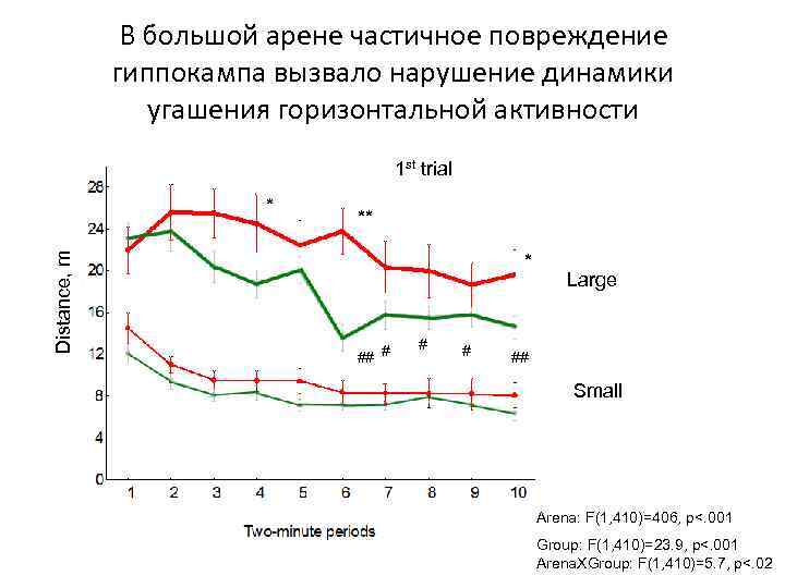В большой арене частичное повреждение гиппокампа вызвало нарушение динамики угашения горизонтальной активности 1 st