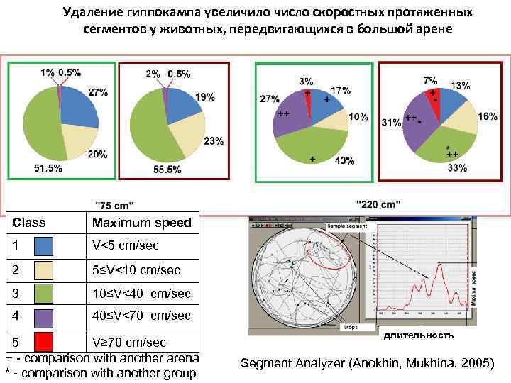 Удаление гиппокампа увеличило число скоростных протяженных сегментов у животных, передвигающихся в большой арене Class