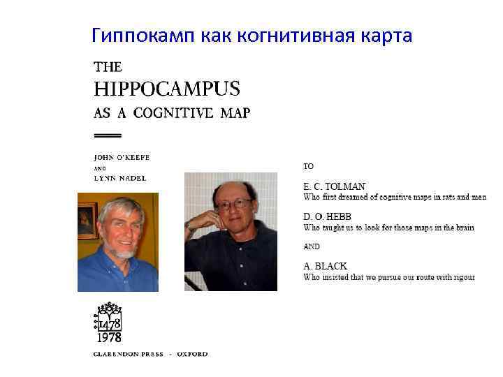 Гиппокамп как когнитивная карта 