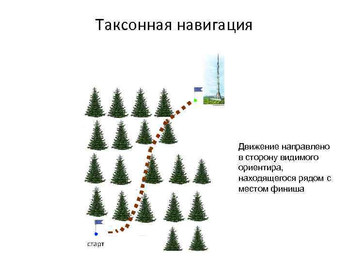 Таксонная навигация Движение направлено в сторону видимого ориентира, находящегося рядом с местом финиша 