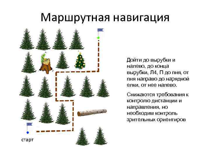 Маршрутная навигация Дойти до вырубки и налево, до конца вырубки, Л 4, П до