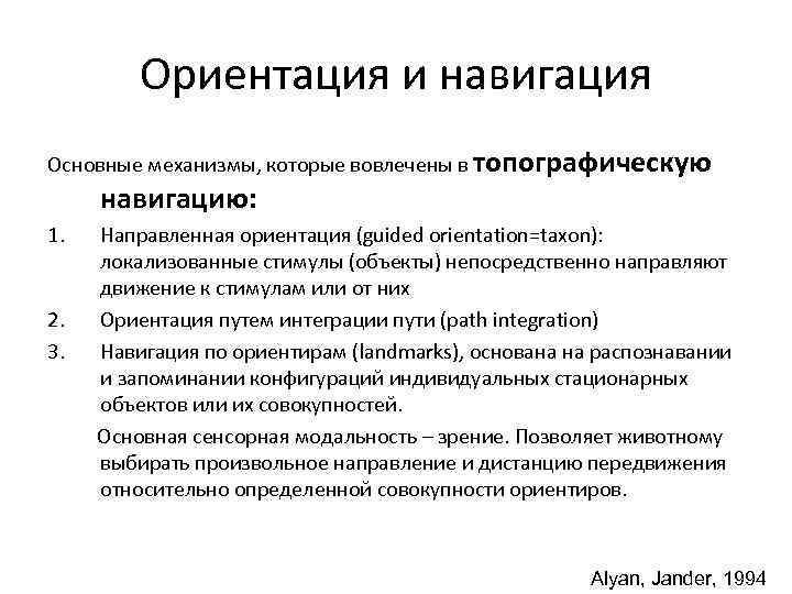 Ориентация и навигация Основные механизмы, которые вовлечены в топографическую навигацию: 1. 2. 3. Направленная