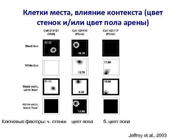 Клетки места, влияние контекста (цвет стенок и/или цвет пола арены) Ключевые факторы: ч. стенки