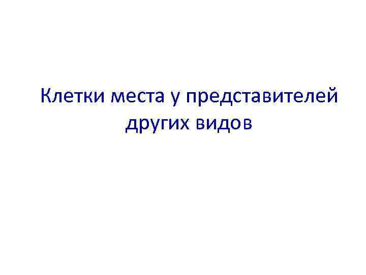 Клетки места у представителей других видов 