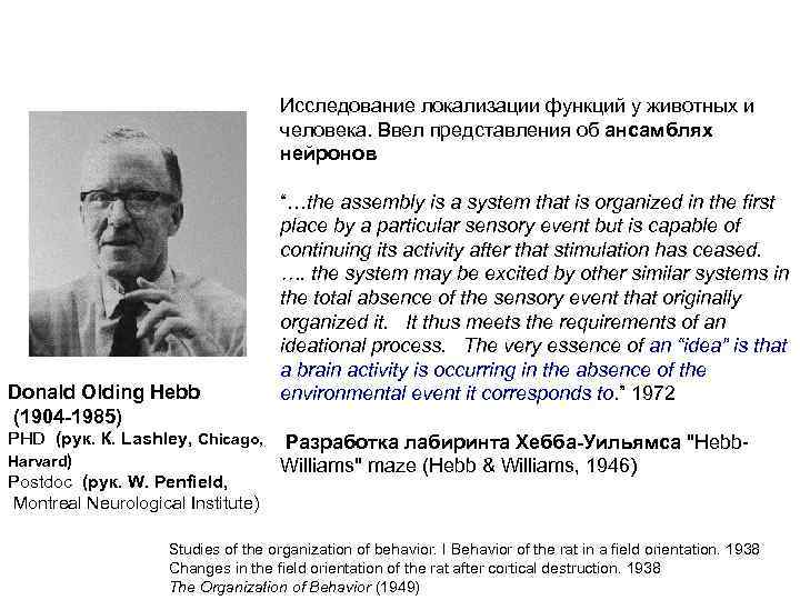 Исследование локализации функций у животных и человека. Ввел представления об ансамблях нейронов Donald Olding