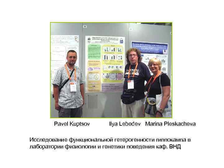 Pavel Kuptsov Ilya Lebedev Marina Pleskacheva Исследование функциональной гетерогенности гиппокампа в лаборатории физиологии и