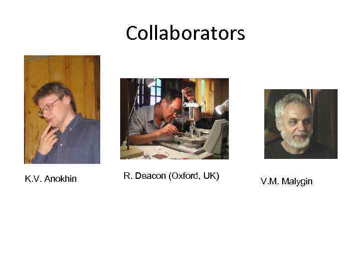Collaborators K. V. Anokhin R. Deacon (Oxford, UK) V. M. Malygin 