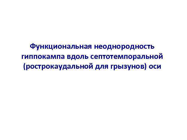 Функциональная неоднородность гиппокампа вдоль септотемпоральной (рострокаудальной для грызунов) оси 