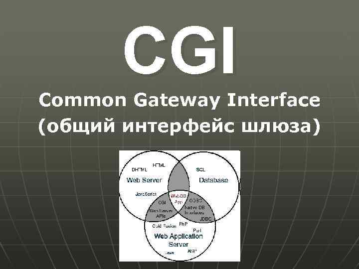 CGI Common Gateway Interface (общий интерфейс шлюза) 