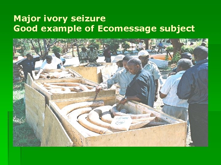 Major ivory seizure Good example of Ecomessage subject 