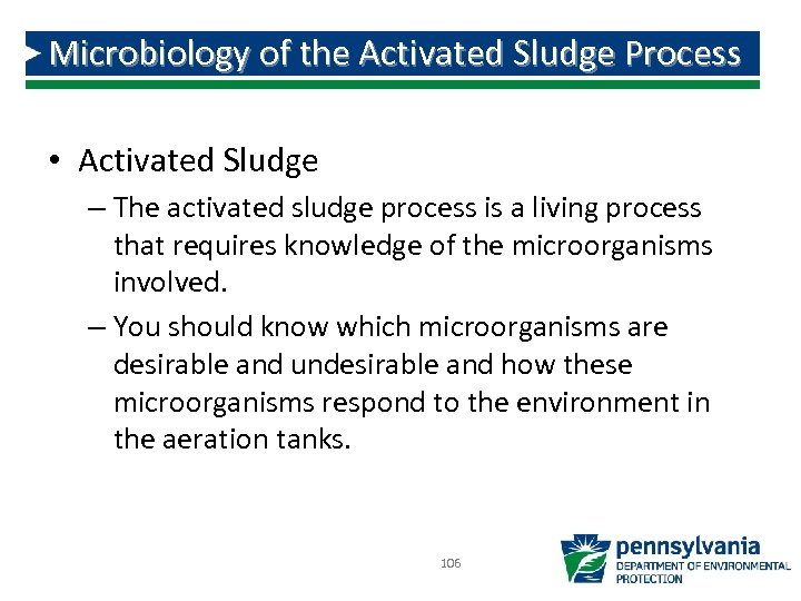 Microbiology of the Activated Sludge Process • Activated Sludge – The activated sludge process